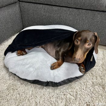 Kör alakú bújós fekhely - Világos szürke