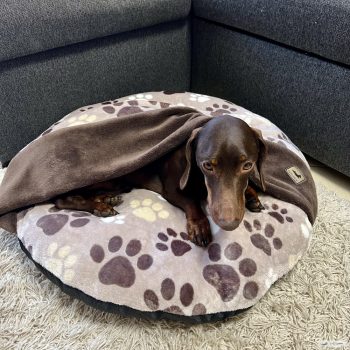 Kör alakú bújós fekhely - Mancsos Cappucino