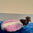 70 cm-es bújós fekhely - Rózsaszín
