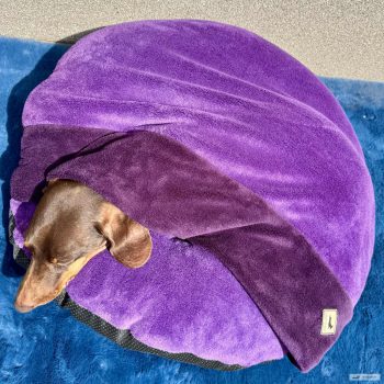 Kör alakú bújós fekhely - Világos lila