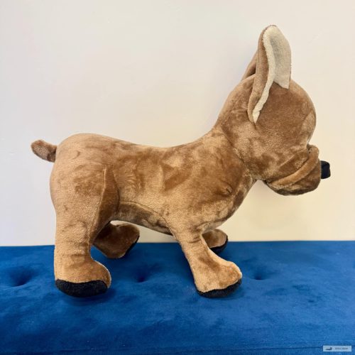 Barna francia bulldog