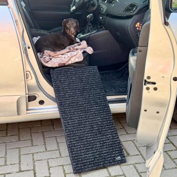 Kutyarámpa autóba/lépcsőre